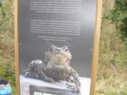  <a style='color: #fff;' href='/uploaded/photo/-51614015a5cd5.jpg'>(Télécharger)</a>