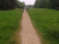 Dans le parc <a style='color: #fff;' href='/uploaded/photo/-519bb6ca86f49.jpg'>(Télécharger)</a>