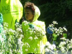  <a style='color: #fff;' href='/uploaded/photo/-51a23f0a46361.jpg'>(Télécharger)</a>