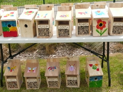  <a style='color: #fff;' href='/uploaded/photo/-51a61498bf823.jpg'>(Télécharger)</a>