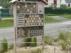  <a style='color: #fff;' href='/uploaded/photo/-51a614a5eed4a.jpg'>(Télécharger)</a>