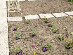  <a style='color: #fff;' href='/uploaded/photo/-51a614fea8959.jpg'>(Télécharger)</a>