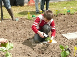  <a style='color: #fff;' href='/uploaded/photo/-51a6154d3341d.jpg'>(Télécharger)</a>