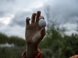  <a style='color: #fff;' href='/uploaded/photo/a-la-recherche-de-herissons-5fa407a146579.jpg'>(Télécharger)</a>