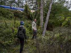  <a style='color: #fff;' href='/uploaded/photo/a-la-recherche-de-herissons-5fa407aa6b0ab.jpg'>(Télécharger)</a>