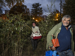  <a style='color: #fff;' href='/uploaded/photo/a-la-recherche-de-herissons-5fa407aed440f.jpg'>(Télécharger)</a>