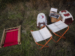  <a style='color: #fff;' href='/uploaded/photo/a-la-recherche-de-herissons-5fa407b387926.jpg'>(Télécharger)</a>