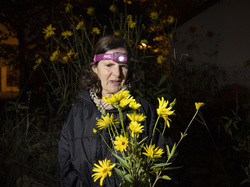  <a style='color: #fff;' href='/uploaded/photo/a-la-recherche-de-herissons-5fa407be537c3.jpg'>(Télécharger)</a>