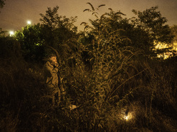  <a style='color: #fff;' href='/uploaded/photo/a-la-recherche-de-herissons-5fa407d12d142.jpg'>(Télécharger)</a>