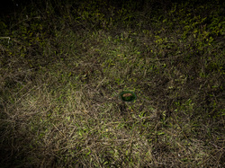  <a style='color: #fff;' href='/uploaded/photo/a-la-recherche-de-herissons-5fa407d34962f.jpg'>(Télécharger)</a>