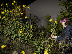  <a style='color: #fff;' href='/uploaded/photo/a-la-recherche-de-herissons-5fa407d4c6d69.jpg'>(Télécharger)</a>