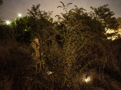  <a style='color: #fff;' href='/uploaded/photo/a-la-recherche-de-herissons-5fa407dbdd8ad.jpg'>(Télécharger)</a>