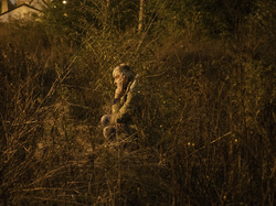  <a style='color: #fff;' href='/uploaded/photo/a-la-recherche-de-herissons-5fa407ddbff7a.jpg'>(Télécharger)</a>