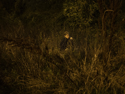  <a style='color: #fff;' href='/uploaded/photo/a-la-recherche-de-herissons-5fa407e2b2f8a.jpg'>(Télécharger)</a>