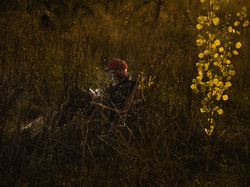  <a style='color: #fff;' href='/uploaded/photo/a-la-recherche-de-herissons-5fa407eab4fa1.jpg'>(Télécharger)</a>