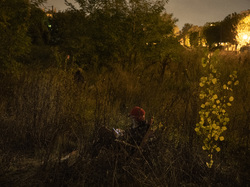  <a style='color: #fff;' href='/uploaded/photo/a-la-recherche-de-herissons-5fa407ec92703.jpg'>(Télécharger)</a>