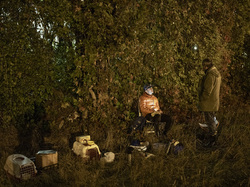  <a style='color: #fff;' href='/uploaded/photo/a-la-recherche-de-herissons-5fa407f421b11.jpg'>(Télécharger)</a>