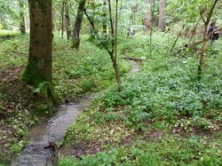  <a style='color: #fff;' href='/uploaded/photo/a-la-rencontre-du-ru-de-buzot-574c3a24c86bf.jpg'>(Télécharger)</a>