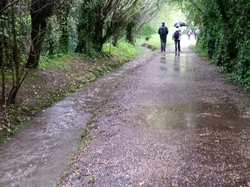  <a style='color: #fff;' href='/uploaded/photo/a-la-rencontre-du-ru-de-buzot-574c3aef653a0.jpg'>(Télécharger)</a>