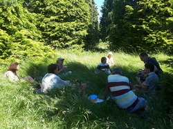  <a style='color: #fff;' href='/uploaded/photo/arboretum-de-chevreloup-60e463c161686.jpg'>(Télécharger)</a>