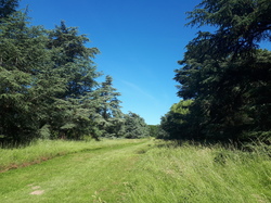  <a style='color: #fff;' href='/uploaded/photo/arboretum-de-chevreloup-60e463c2c72f4.jpg'>(Télécharger)</a>