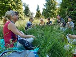  <a style='color: #fff;' href='/uploaded/photo/arboretum-de-chevreloup-60e463c2c7840.jpg'>(Télécharger)</a>