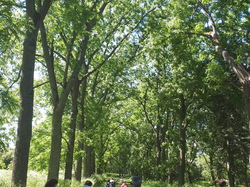  <a style='color: #fff;' href='/uploaded/photo/arboretum-de-chevreloup-60e463c55f854.jpg'>(Télécharger)</a>