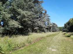  <a style='color: #fff;' href='/uploaded/photo/arboretum-de-chevreloup-60e463c5d0259.jpg'>(Télécharger)</a>