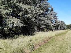  <a style='color: #fff;' href='/uploaded/photo/arboretum-de-chevreloup-60e463c63a07d.jpg'>(Télécharger)</a>