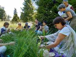  <a style='color: #fff;' href='/uploaded/photo/arboretum-de-chevreloup-60e463c744891.jpg'>(Télécharger)</a>