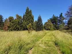  <a style='color: #fff;' href='/uploaded/photo/arboretum-de-chevreloup-60e463c7a2210.jpg'>(Télécharger)</a>