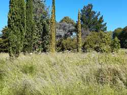  <a style='color: #fff;' href='/uploaded/photo/arboretum-de-chevreloup-60e463c7b1bd8.jpg'>(Télécharger)</a>