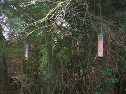  <a style='color: #fff;' href='/uploaded/photo/atelier-refuges-lpo-5c459be892d88.jpg'>(Télécharger)</a>