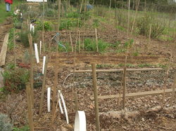 Semis et repiquages bien au chaud sous le paillage de feuilles <a style='color: #fff;' href='/uploaded/photo/atelier-s-initier-au-compost-5ac8d49120534.jpg'>(Télécharger)</a>