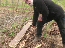 Encore une astuce : carton et feuilles sèches pour protéger les pommes de terre mises en terre <a style='color: #fff;' href='/uploaded/photo/atelier-s-initier-au-compost-5ac8d49171020.jpg'>(Télécharger)</a>