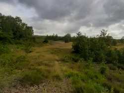  <a style='color: #fff;' href='/uploaded/photo/boucle-de-moisson-60e467c47e10e.jpg'>(Télécharger)</a>