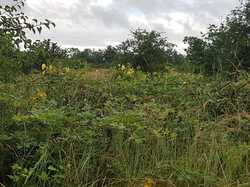  <a style='color: #fff;' href='/uploaded/photo/boucle-de-moisson-60e467c6d04de.jpg'>(Télécharger)</a>