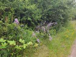  <a style='color: #fff;' href='/uploaded/photo/boucle-de-moisson-60e467c6f21c8.jpg'>(Télécharger)</a>