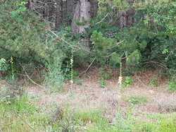  <a style='color: #fff;' href='/uploaded/photo/boucle-de-moisson-60e467c7368a3.jpg'>(Télécharger)</a>