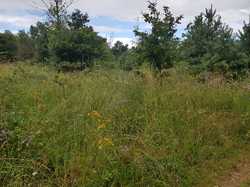  <a style='color: #fff;' href='/uploaded/photo/boucle-de-moisson-60e467c829b93.jpg'>(Télécharger)</a>