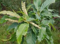  <a style='color: #fff;' href='/uploaded/photo/boucle-de-moisson-60e467c834fa4.jpg'>(Télécharger)</a>