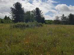  <a style='color: #fff;' href='/uploaded/photo/boucle-de-moisson-60e467c8a561c.jpg'>(Télécharger)</a>