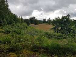  <a style='color: #fff;' href='/uploaded/photo/boucle-de-moisson-60e467c8bd7ca.jpg'>(Télécharger)</a>