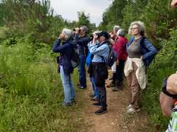  <a style='color: #fff;' href='/uploaded/photo/boucle-de-moissons-6698006aa6b55.jpg'>(Télécharger)</a>