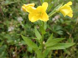  <a style='color: #fff;' href='/uploaded/photo/boucle-de-moissons-669800886ad34.jpg'>(Télécharger)</a>