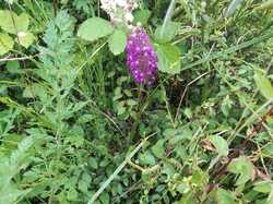  <a style='color: #fff;' href='/uploaded/photo/boucle-de-moissons-669800897b776.jpg'>(Télécharger)</a>