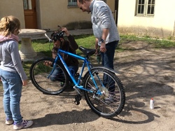  <a style='color: #fff;' href='/uploaded/photo/brico-velo-13-avril-2019-5cb8add3359d2.jpg'>(Télécharger)</a>