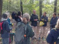  <a style='color: #fff;' href='/uploaded/photo/chataignes-618179544daf0.jpg'>(Télécharger)</a>