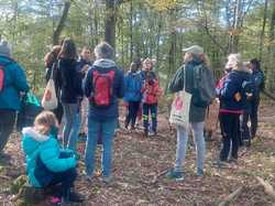  <a style='color: #fff;' href='/uploaded/photo/chataignes-61817954714d3.jpg'>(Télécharger)</a>