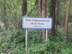  <a style='color: #fff;' href='/uploaded/photo/coupes-en-foret-de-la-vente-5eb94484d4d7a.jpg'>(Télécharger)</a>